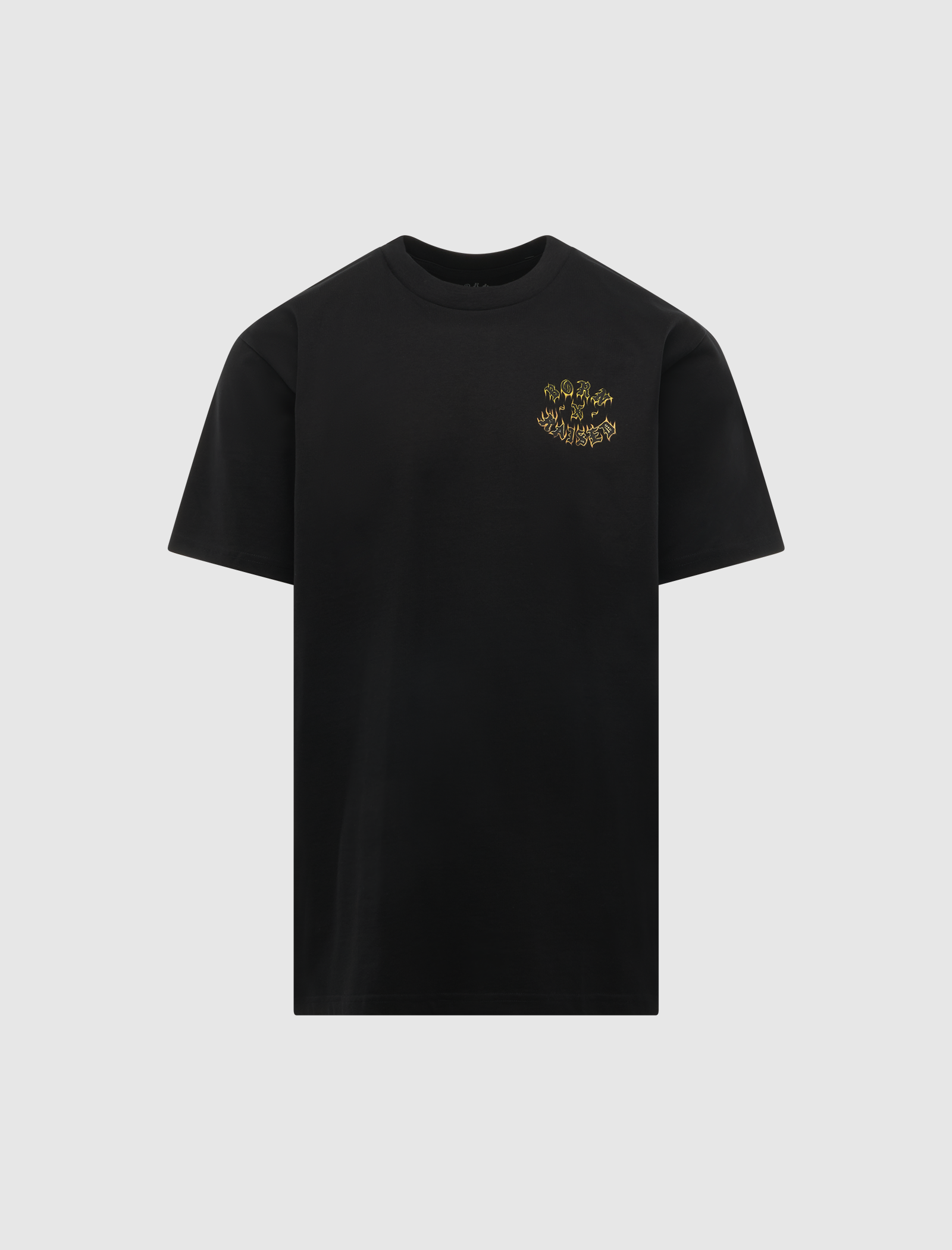 BORN X RAISED GUADALUPE TEE – APB