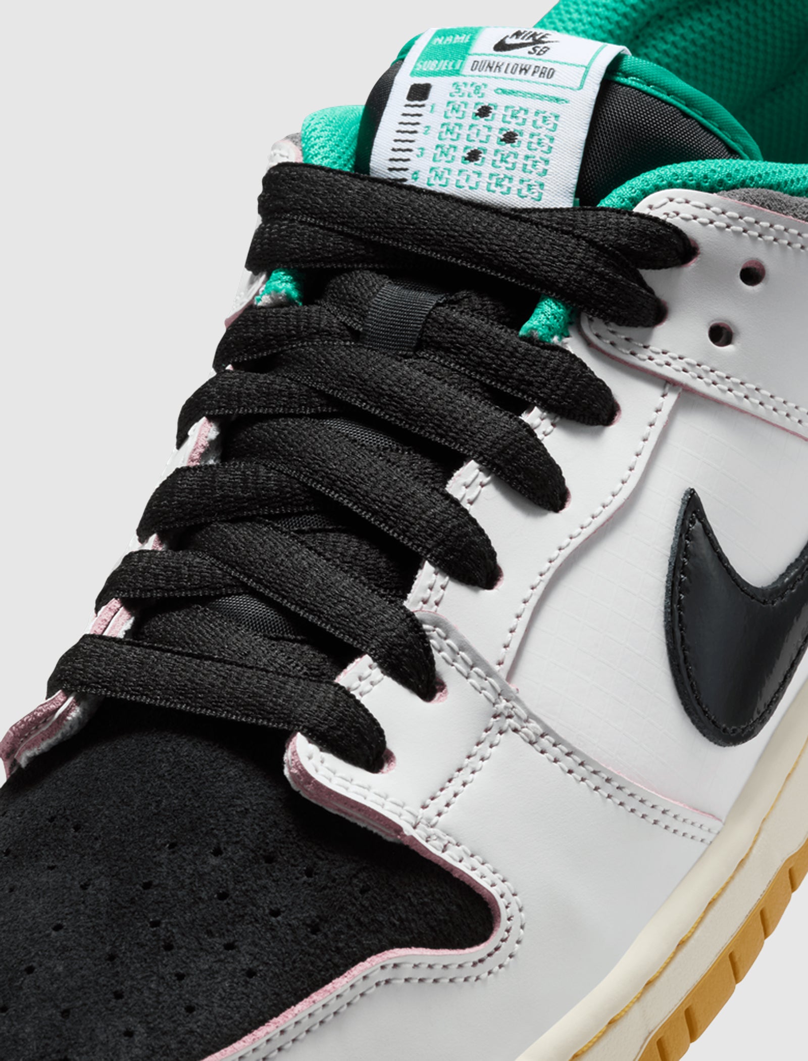 COLLEGE SKATEBOARDING EDUCATIONAL FOUNDATION X SB DUNK LOW PRO