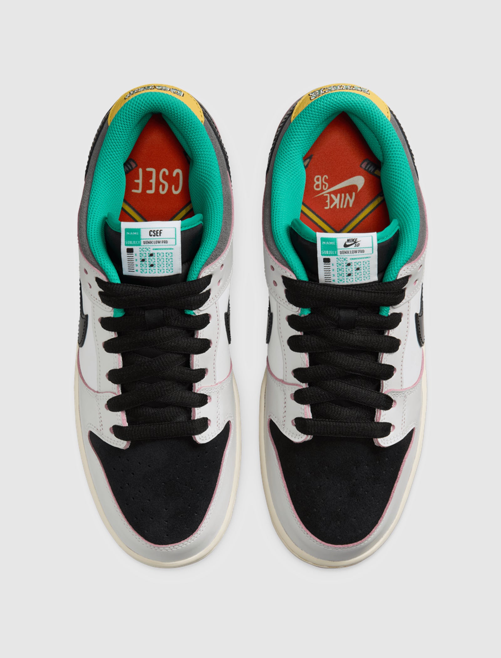 COLLEGE SKATEBOARDING EDUCATIONAL FOUNDATION X SB DUNK LOW PRO