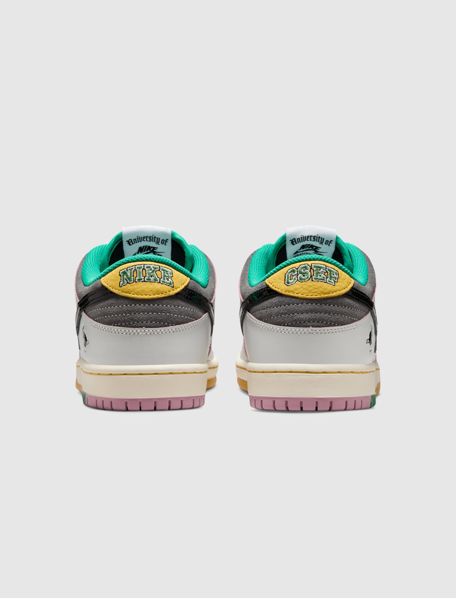COLLEGE SKATEBOARDING EDUCATIONAL FOUNDATION X SB DUNK LOW PRO
