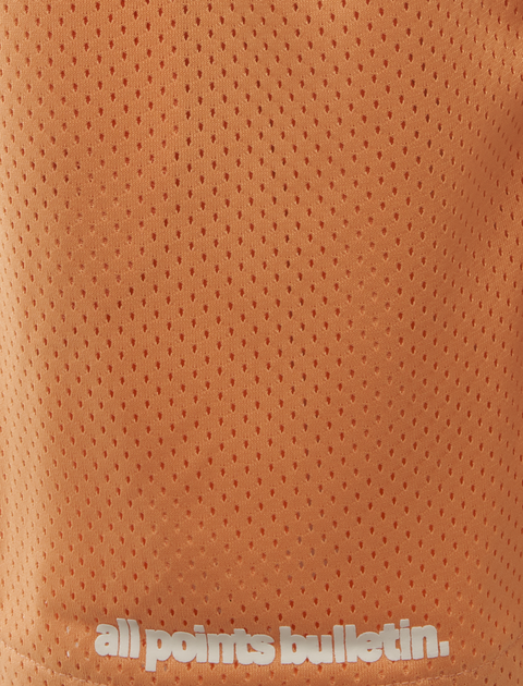 APB ESSENTIALS MESH SHORTS