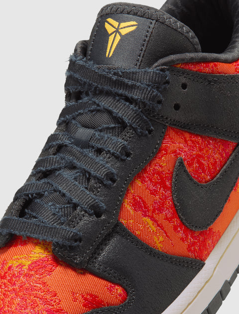NIKE DUNK LOW PROTRO