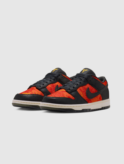 NIKE DUNK LOW PROTRO
