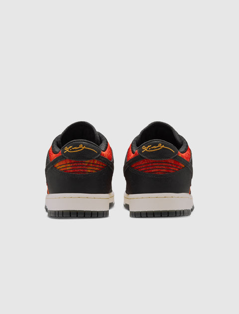 NIKE DUNK LOW PROTRO