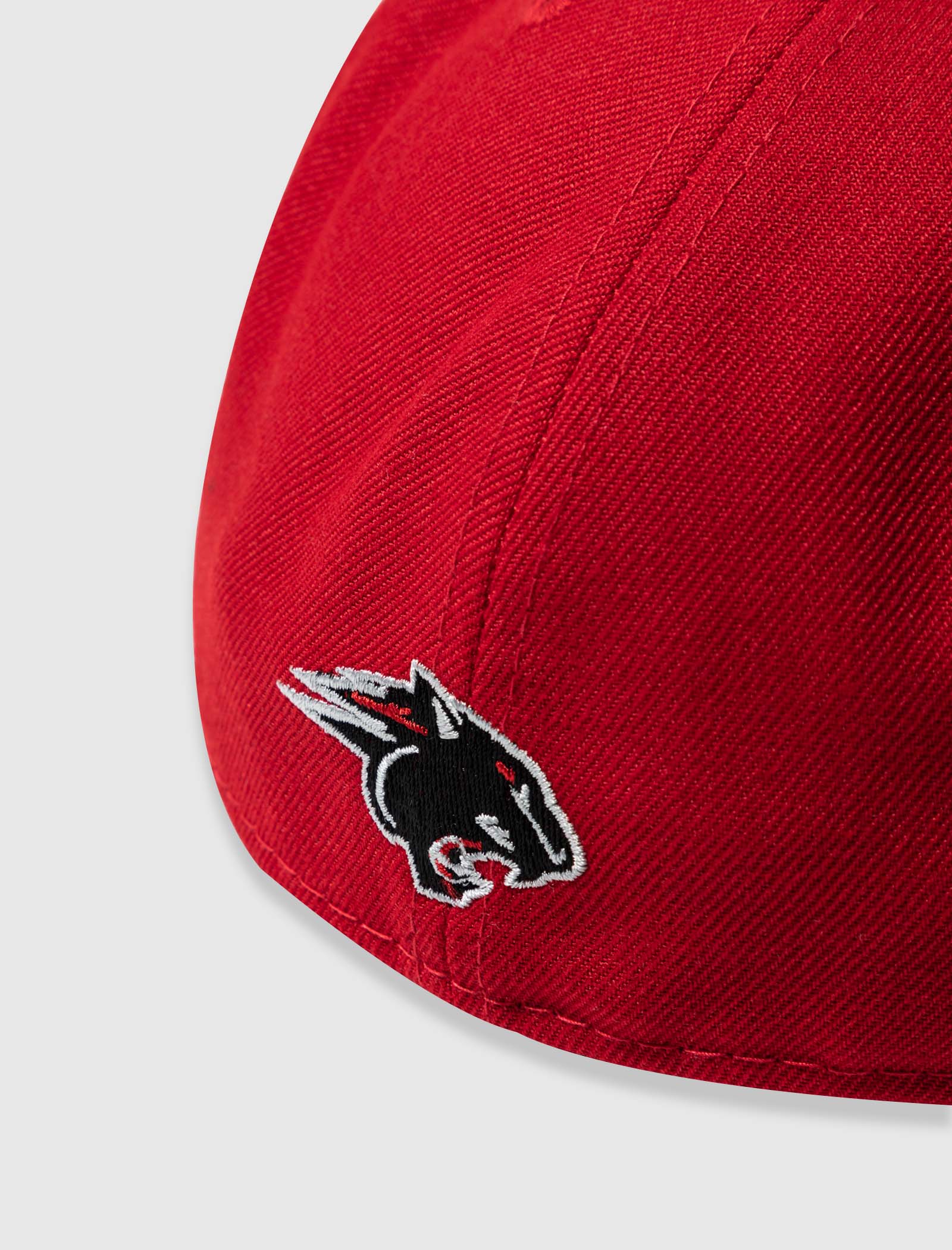 CLARK PANTHERS FITTED HAT